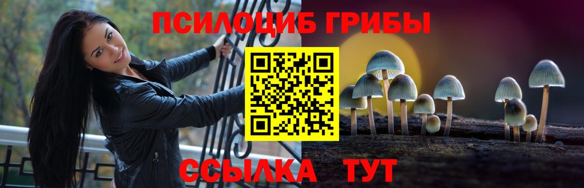 Нальчик  Псилоцибиновые грибы прущие грибы  Вход с VPN 